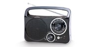 Portable Radio - RPS600